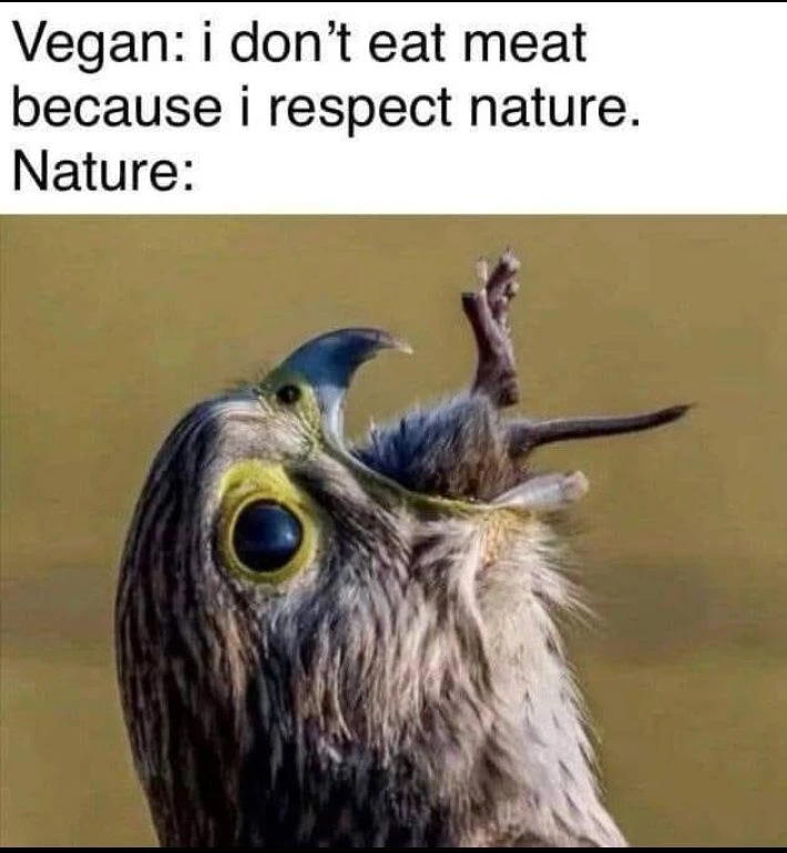 Bild hochgeladen von Raphael