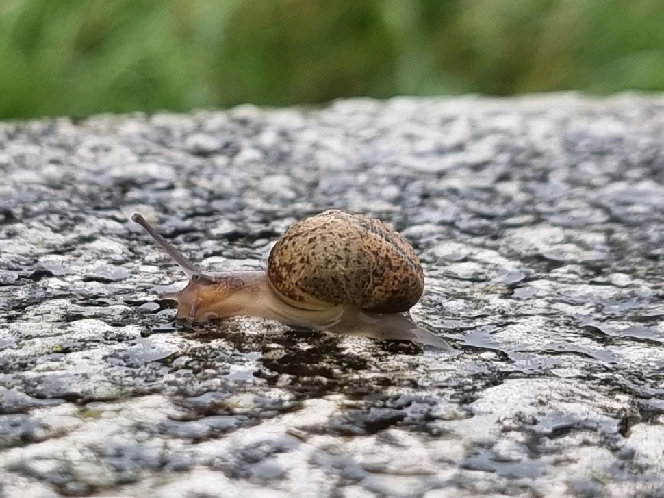 GIF uploaded by Mila