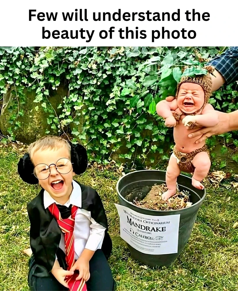 GIF uploaded by Suman