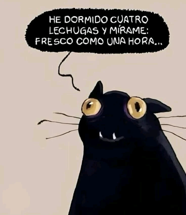 GIF subido por Lucero
