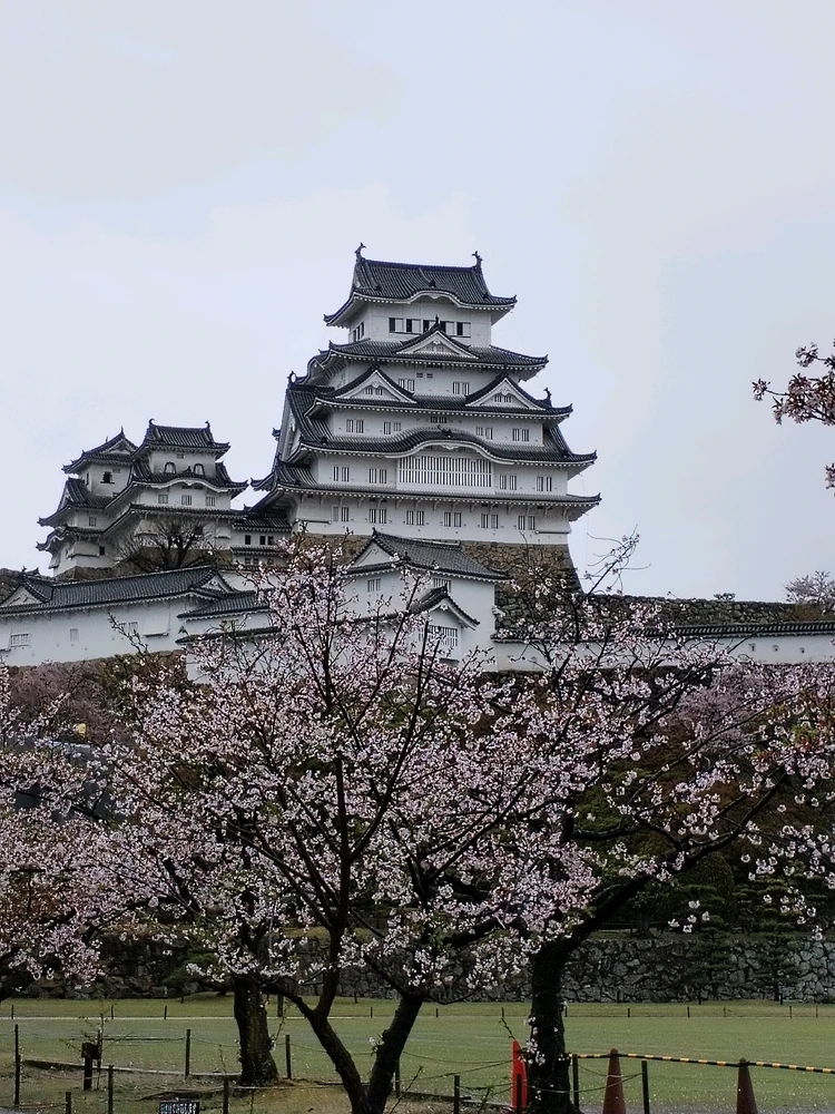 Real Himeji Castle in Japan.
Taken April 13, 2025.