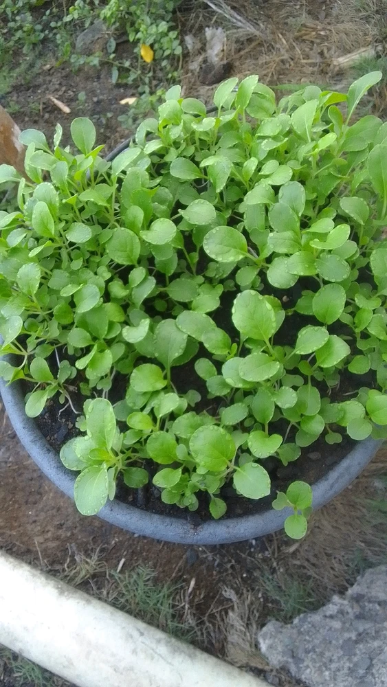 GIF uploaded by Keithan
