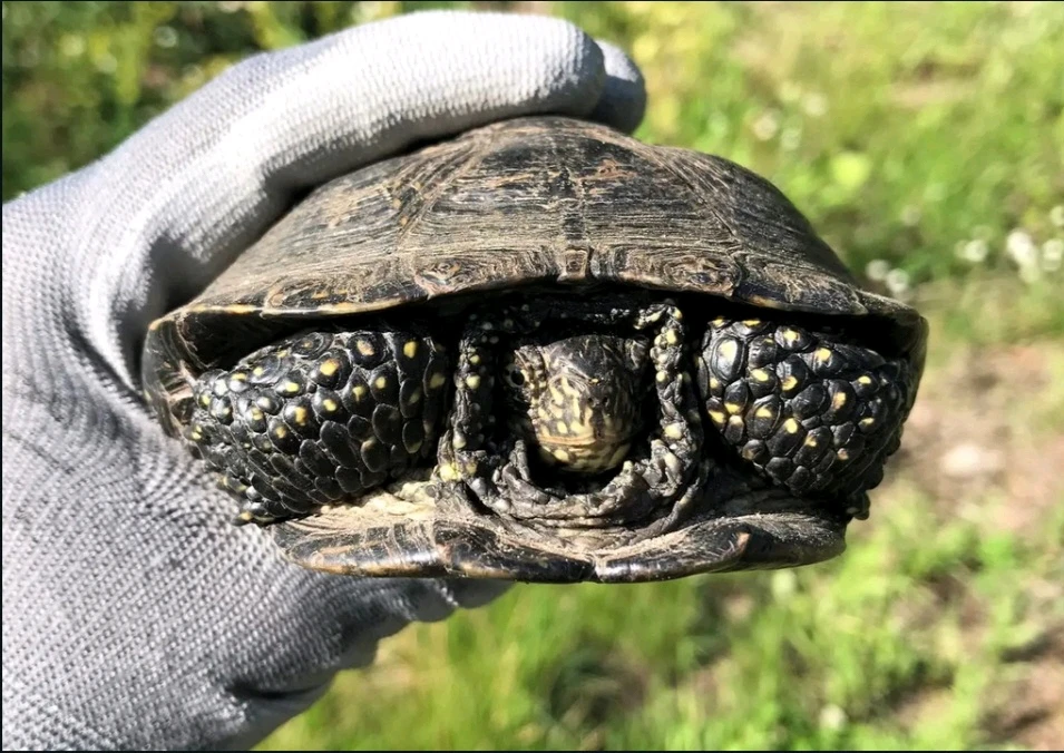 Image uploaded by Valde