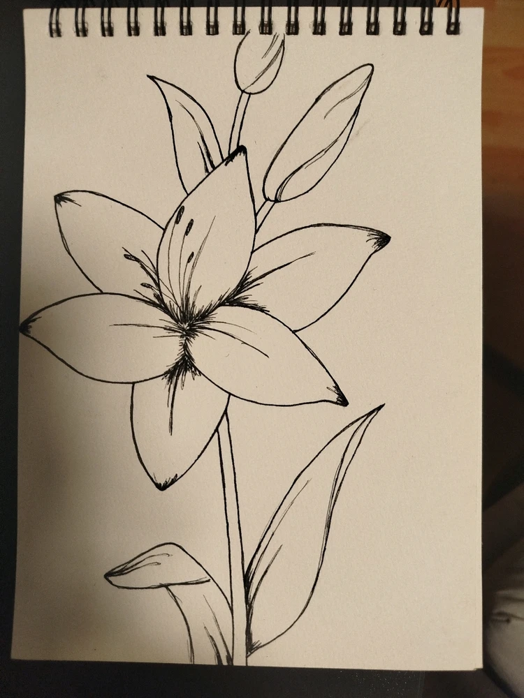 Bild hochgeladen von Bella