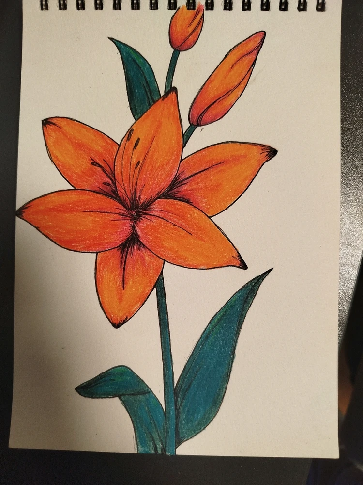 Bild hochgeladen von Bella