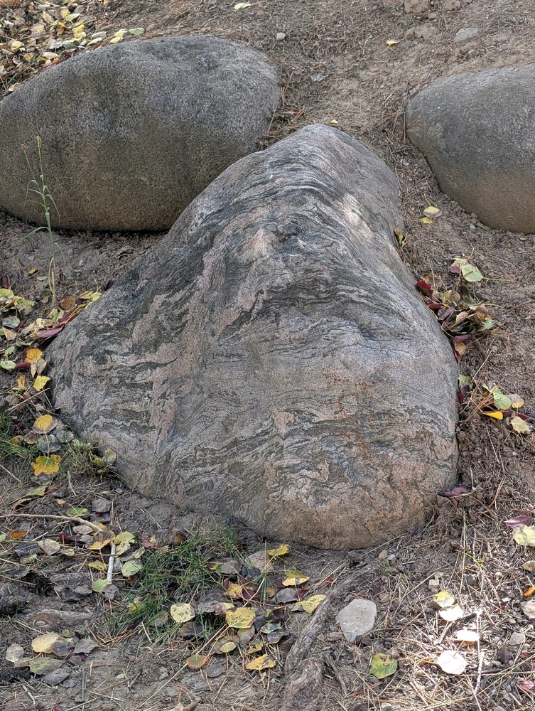 GIF uploaded by Shala