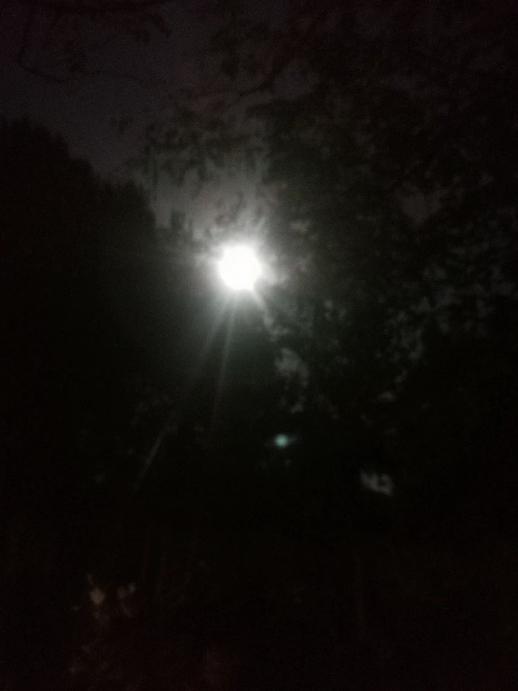 Nous sommes désastre nous sommes des astres toi silencieuse à la peau de lune moi brûlant sans cesse en activité ... Et même si elle est 64 millions de fois plus petite que le soleil lorsqu'elle le décide c'est cette petite lune qui plonge mon monde dans le noir ...