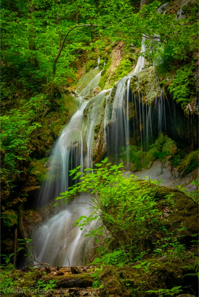 GIF uploaded by Felix