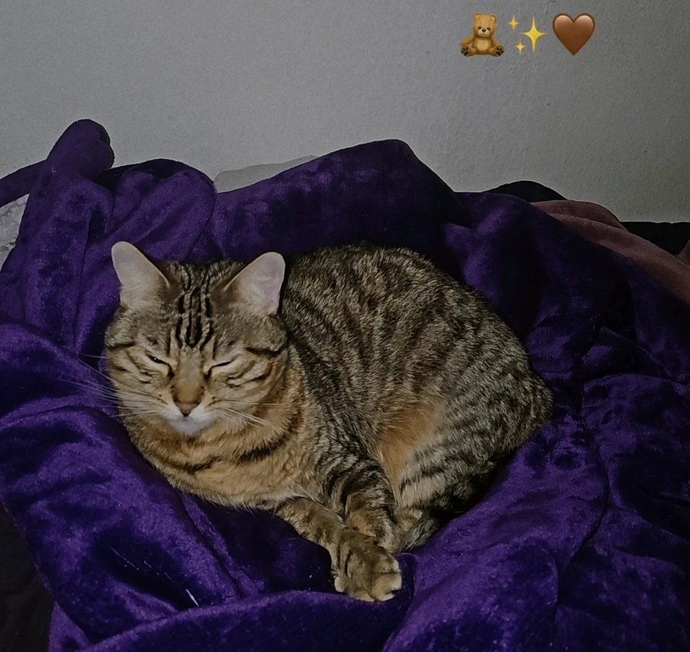 GIF hochgeladen von Saray