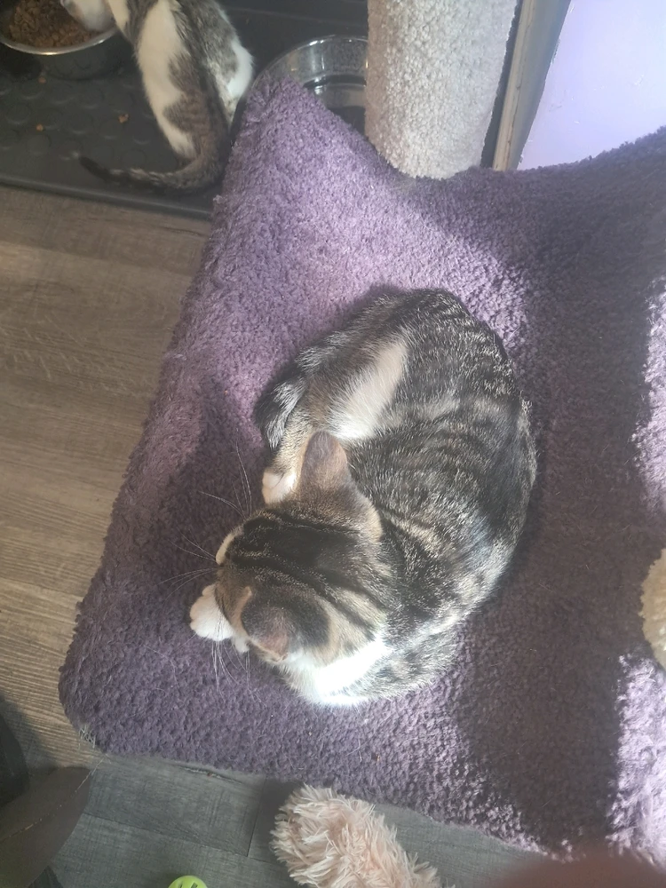 Image uploaded by Jordan