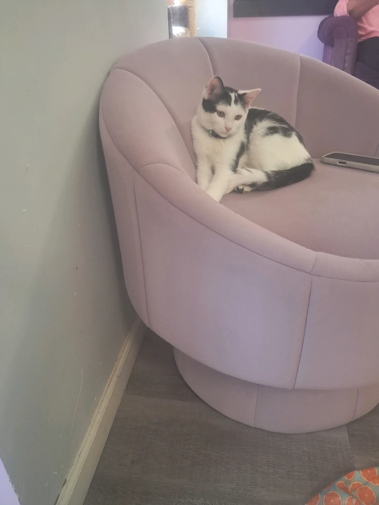 Image uploaded by Jordan