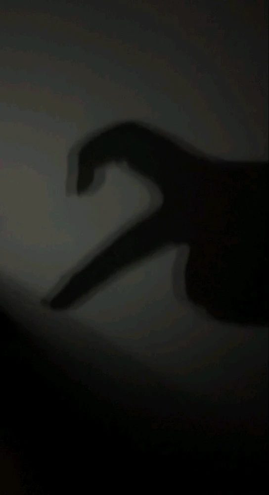 GIF uploaded by Charlotte