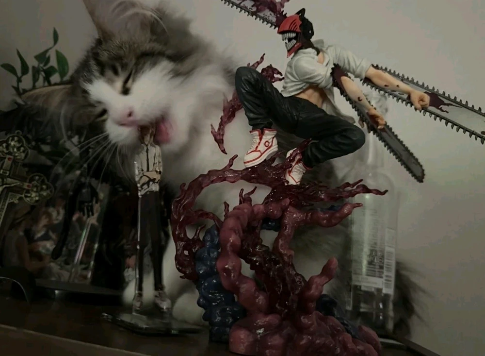 GIF uploaded by Jorge Rodríguez