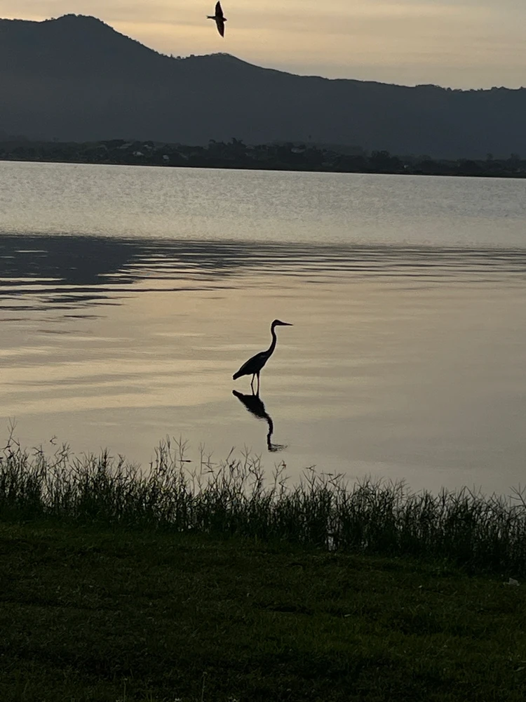 GIF enviado por Jonathan Santos