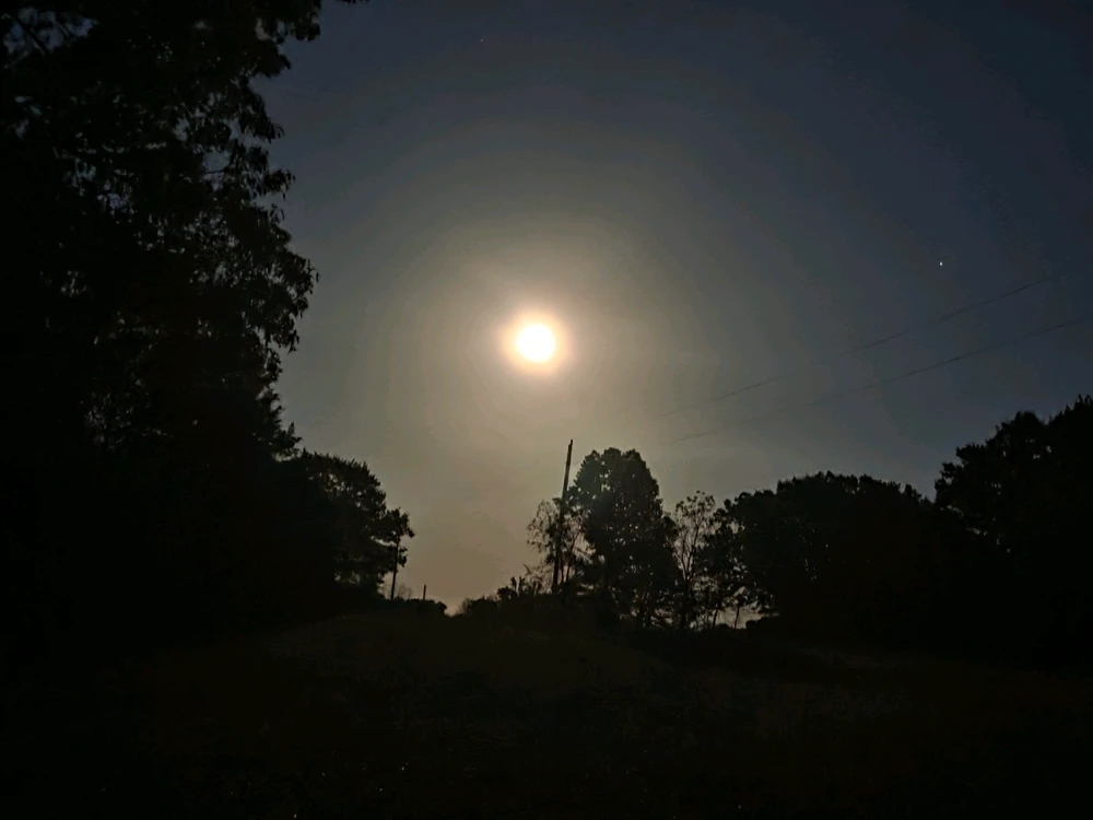 Image uploaded by Tarl