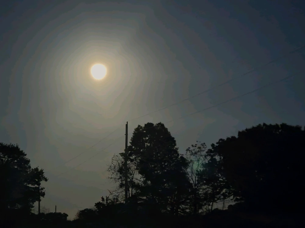 Image uploaded by Tarl