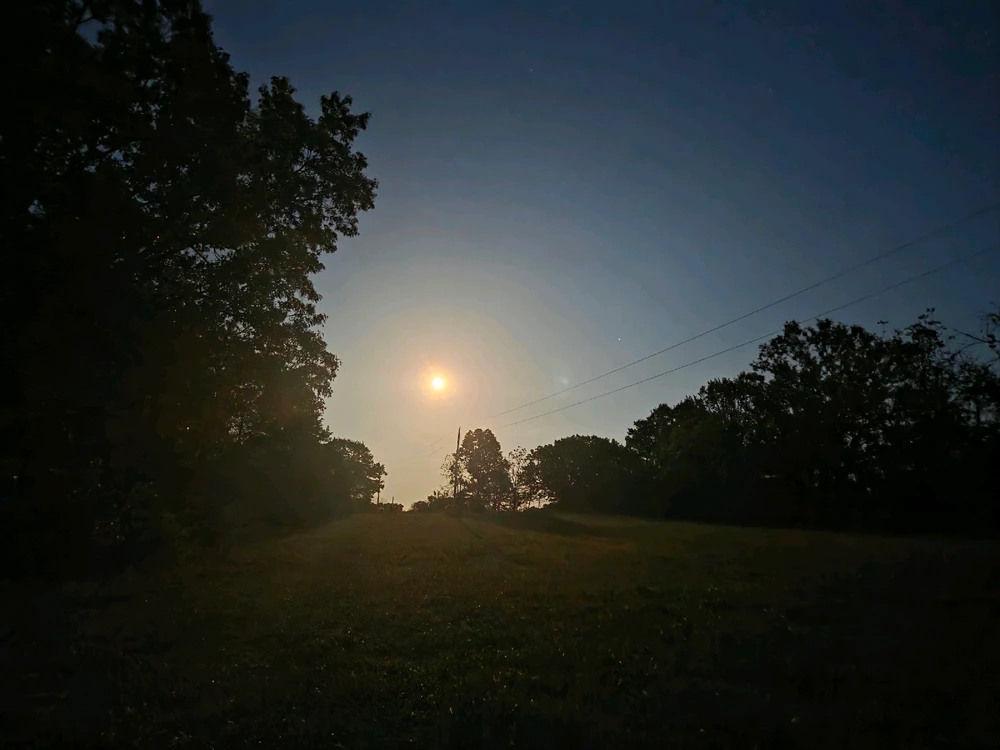 Image uploaded by Tarl