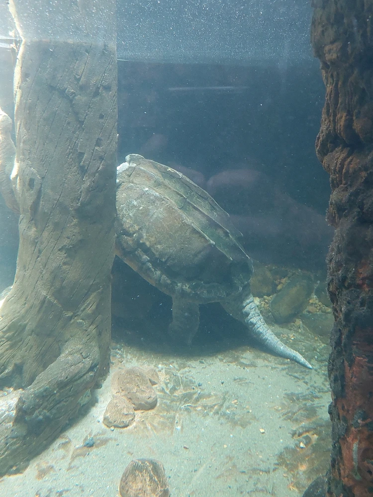 GIF uploaded by Jonathan