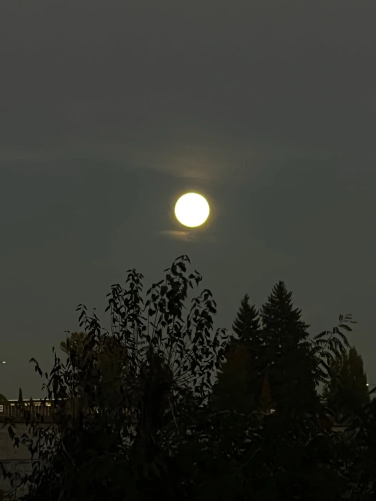 GIF uploaded by Alexander