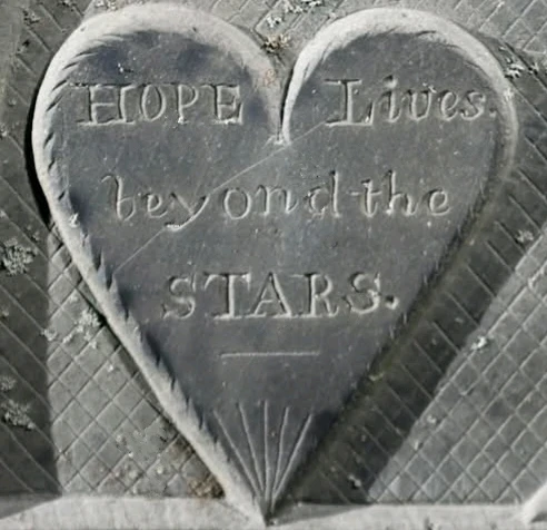 GIF uploaded by Melanie