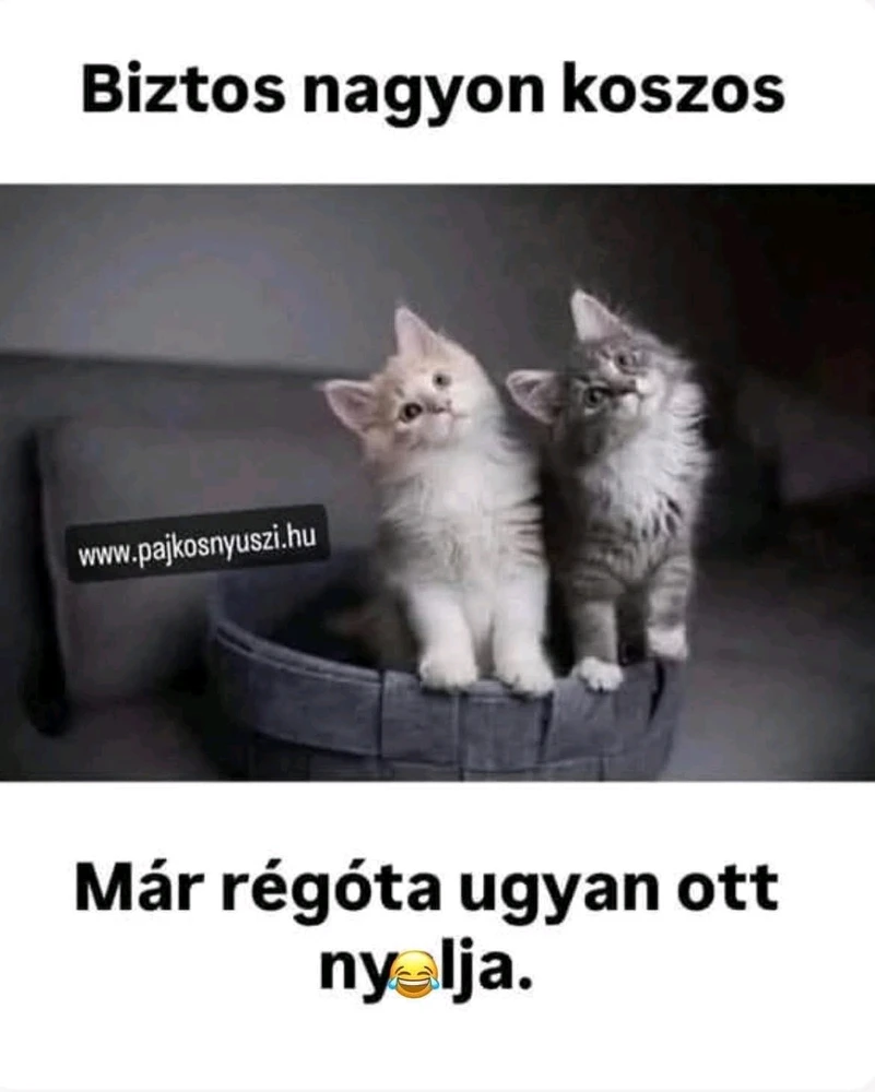 maryblue81 által feltöltött GIF