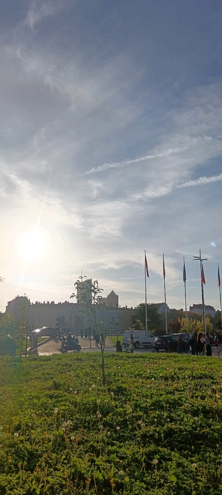 Un coucou du matin 🙋🌞