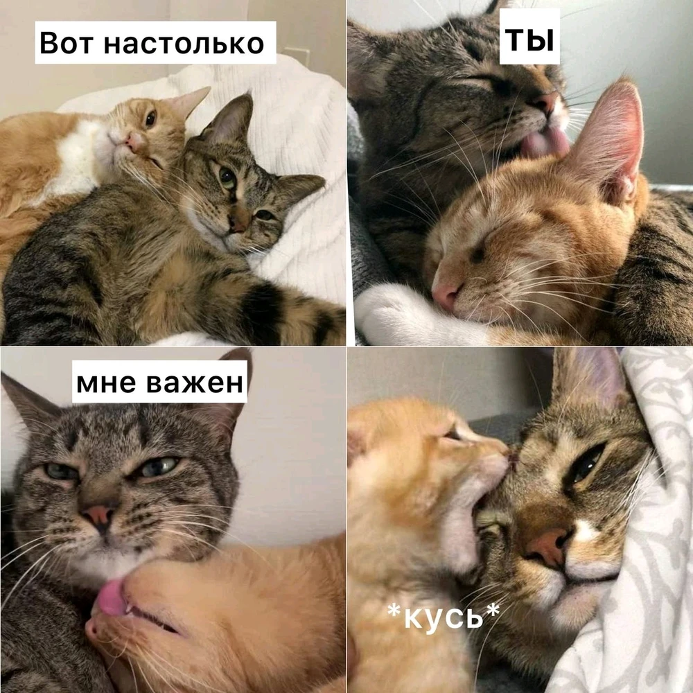 GIF загрузил Наталья