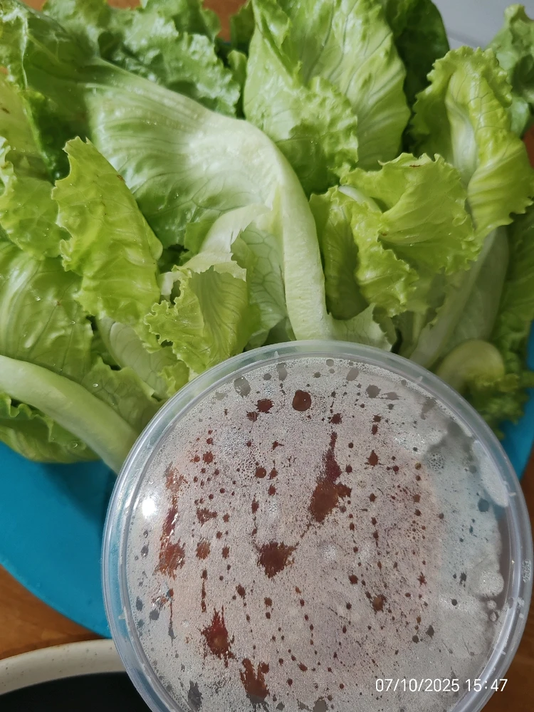 รูปที่อัพโหลดโดย Jin jin