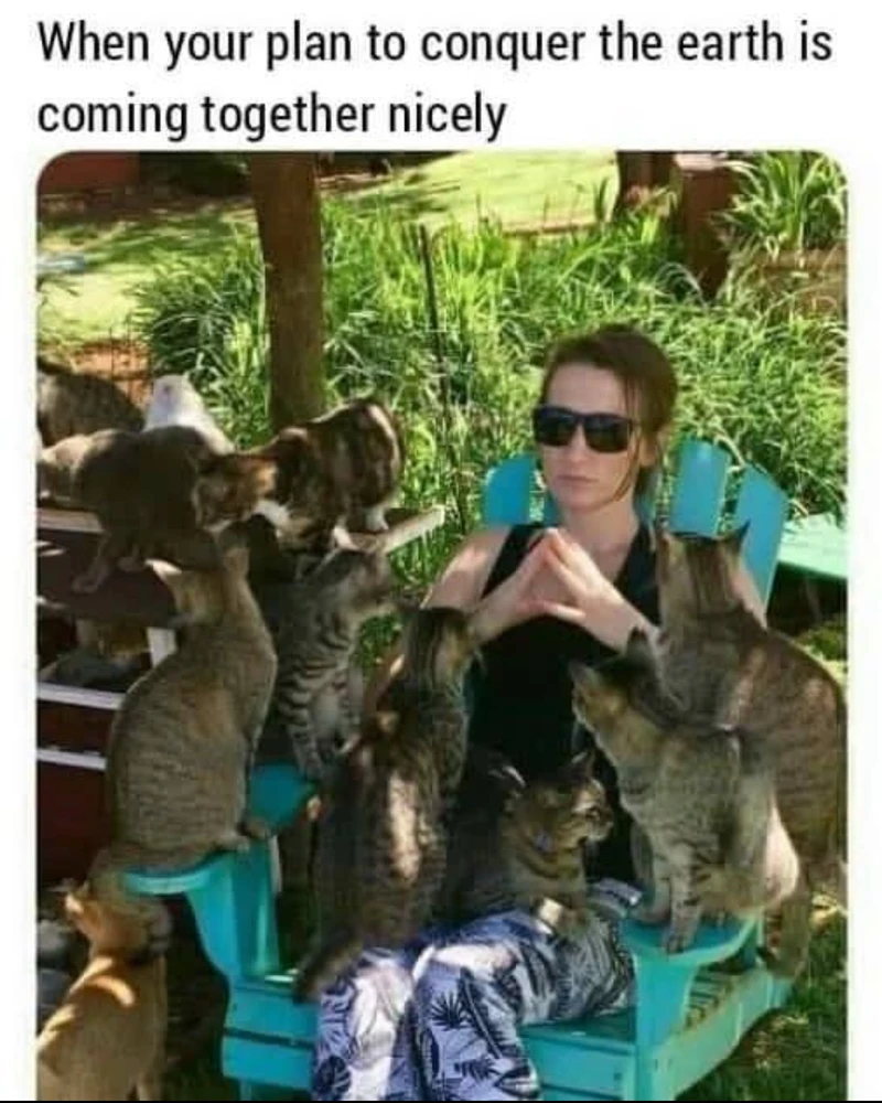 GIF uploaded by Eddy