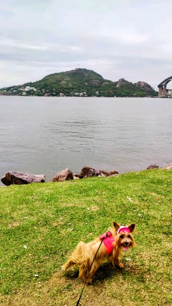 GIF enviado por Kelly