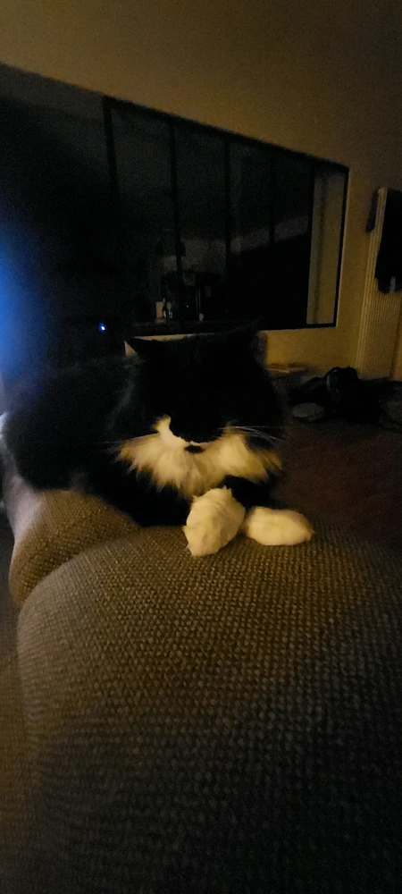 GIF ajouté par David