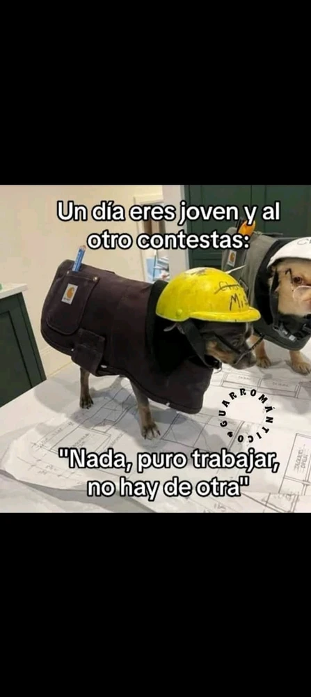 GIF subido por Armando