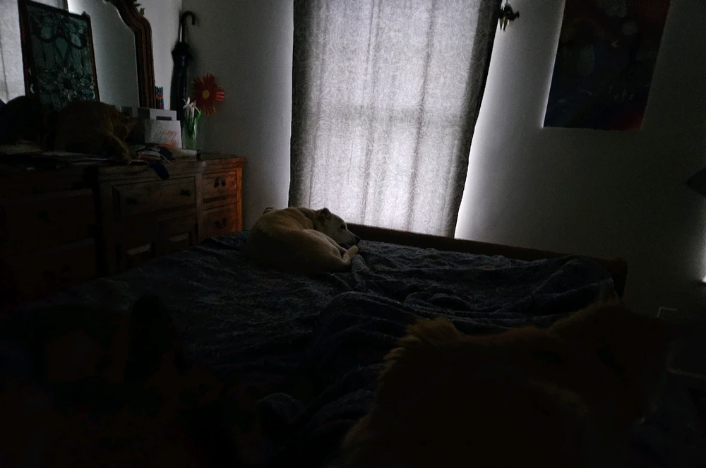 GIF uploaded by Jessica