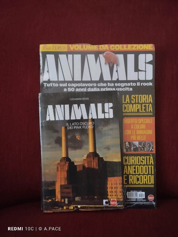 Immagine caricata da Alessandro | alpacigno