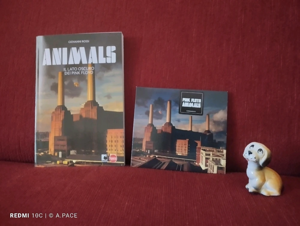 Immagine caricata da Alessandro | alpacigno