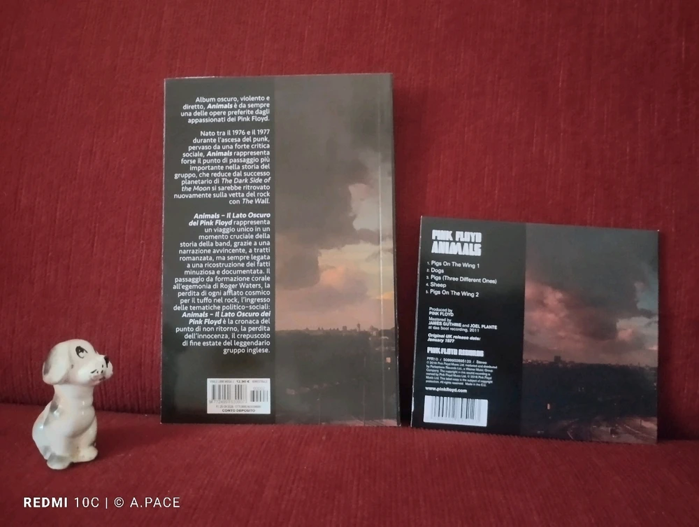 Immagine caricata da Alessandro | alpacigno