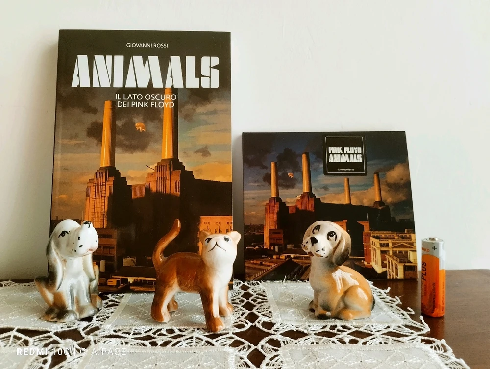 Immagine caricata da Alessandro | alpacigno