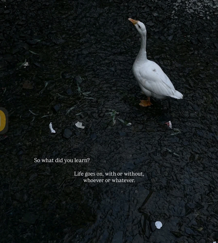 GIF hochgeladen von Lorenzo von Matterhorn