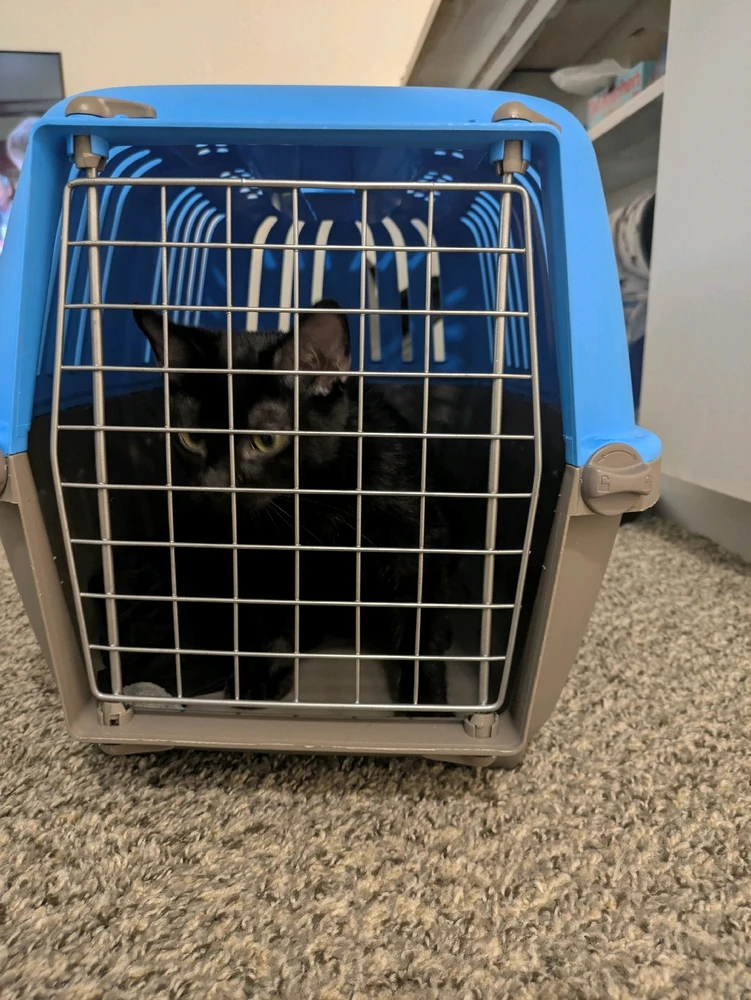 Image uploaded by Korey