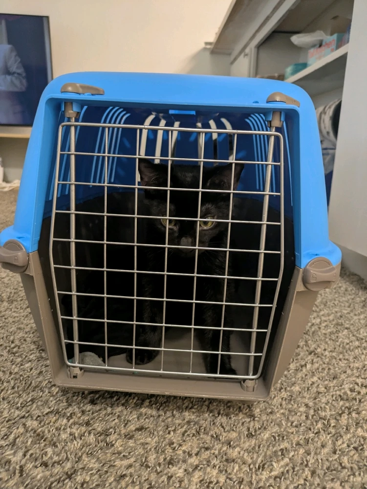 Image uploaded by Korey