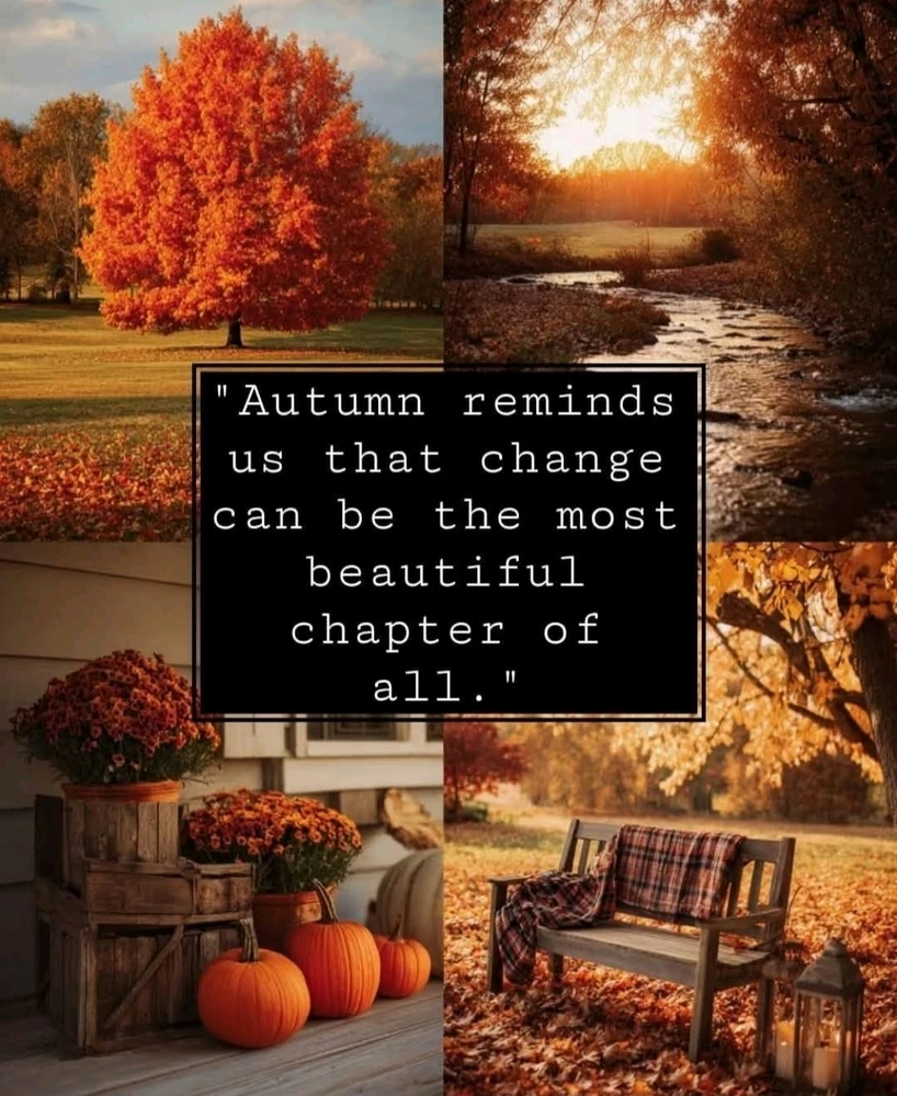 GIF hochgeladen von Carlos