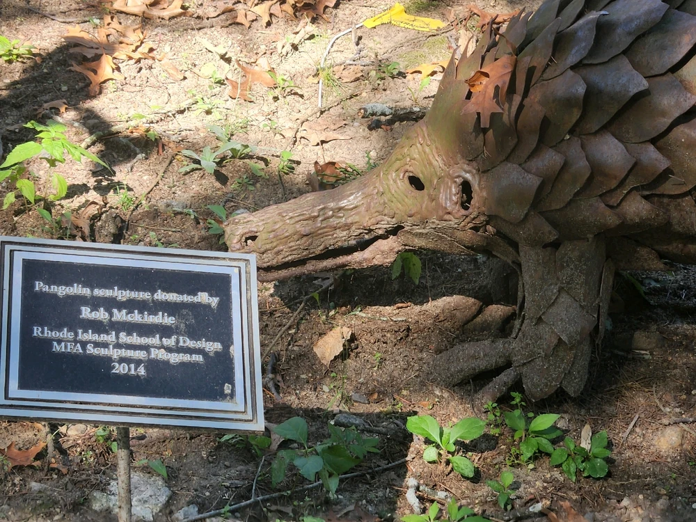 Image uploaded by Hailey