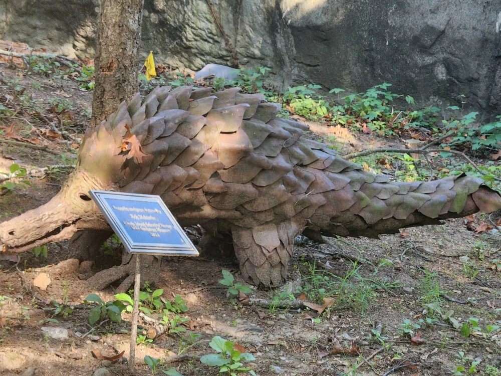 Image uploaded by Hailey