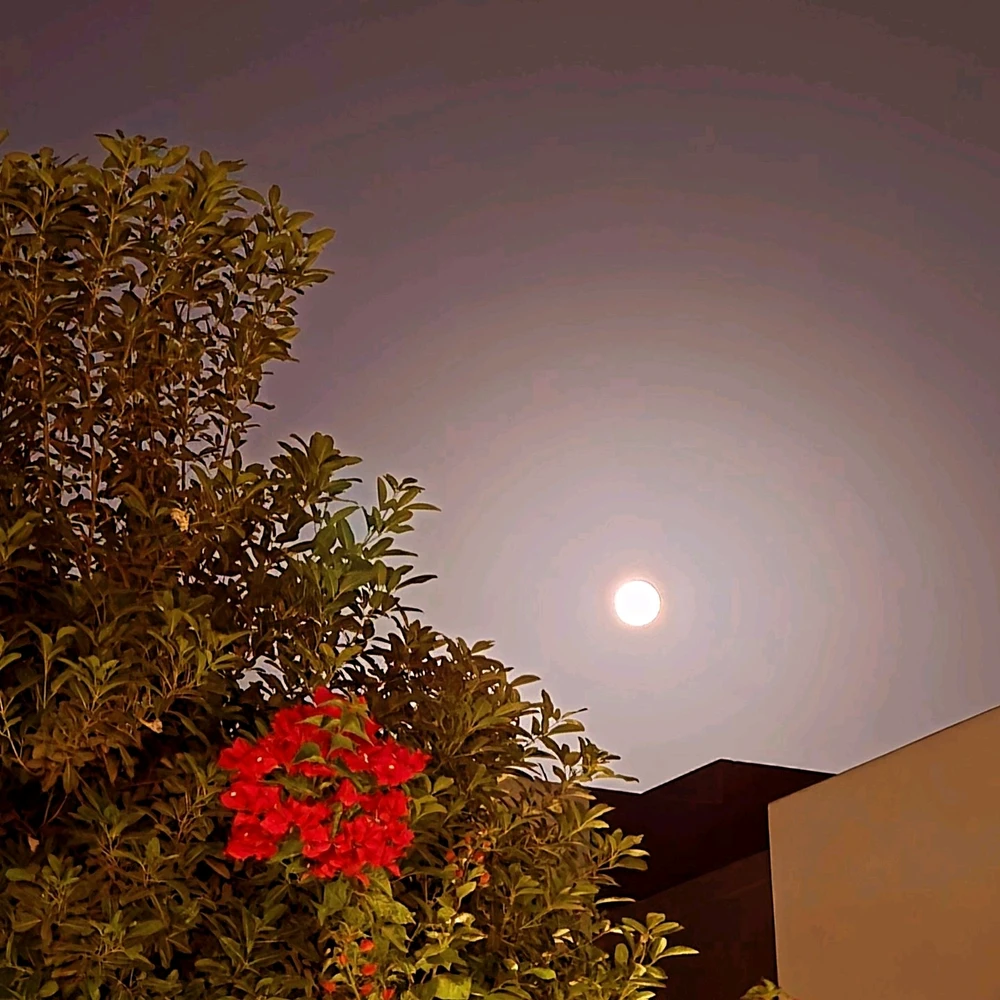 Gambar diunggah dening Gheng