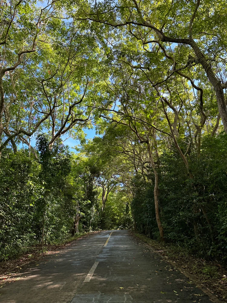 GIF uploaded by Gray