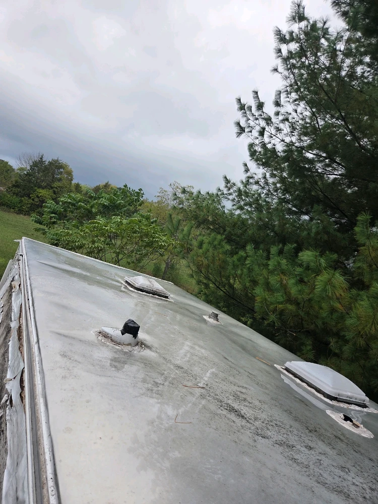 Image uploaded by Tarl