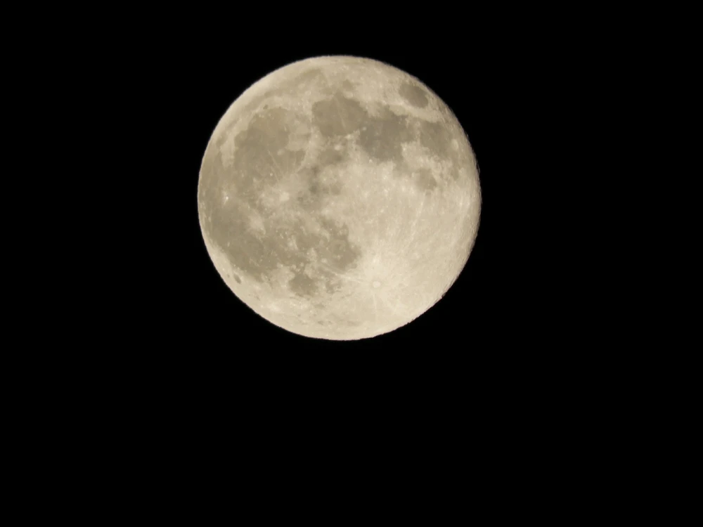 Immagine caricata da Jonh