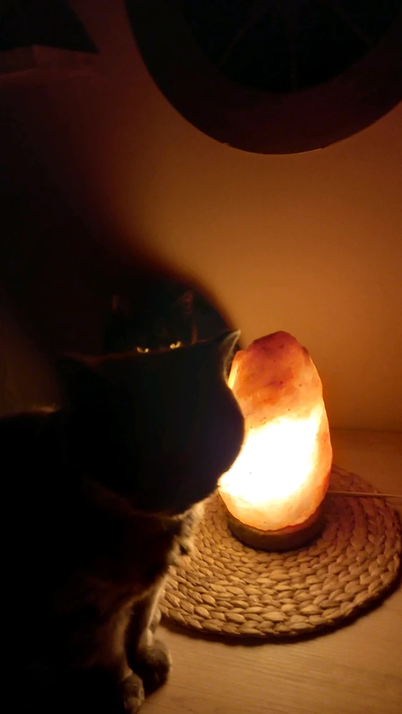 Obrázek nahrál Atria