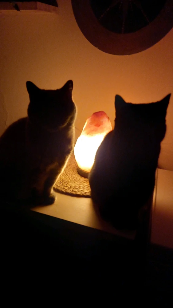 Obrázek nahrál Atria