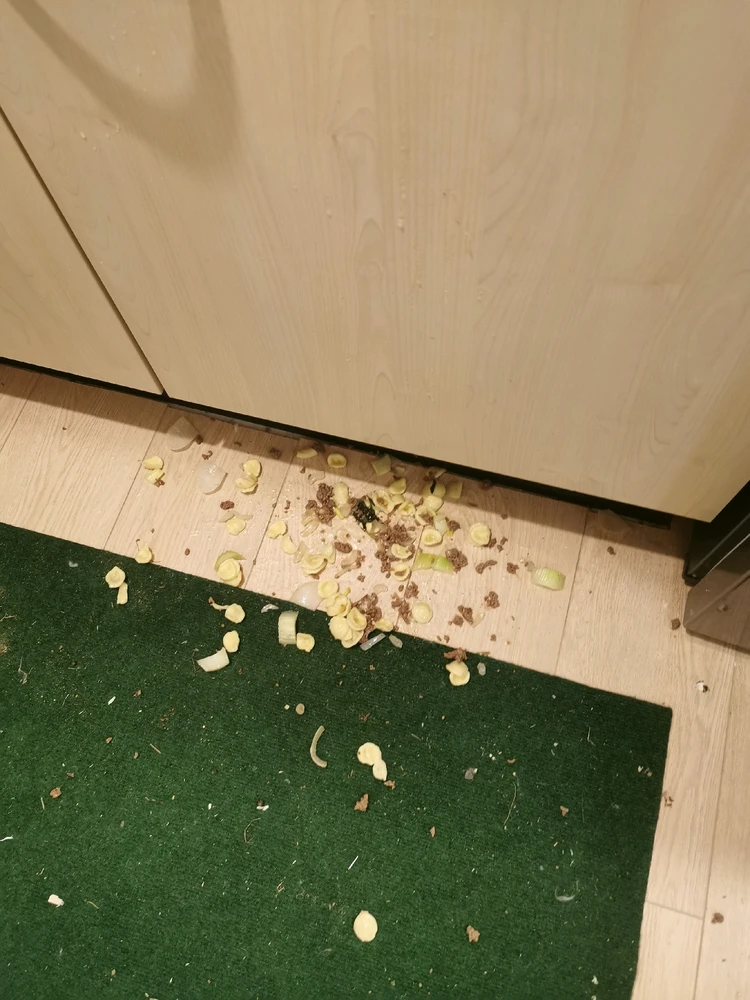 GIF geüpload door Glenn